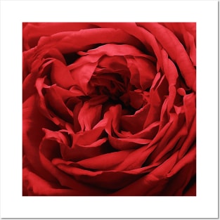 Romantic Dark Red Crimson Rose Pattern Posters and Art